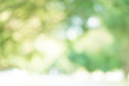 Abstract Green Bokeh Light Backgroundの写真素材