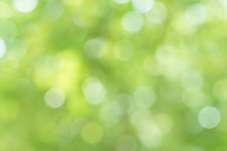 nature green bokeh sun light flare and blur leaf abstract texture backgroundの写真素材
