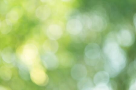 green bokeh backgroundの写真素材