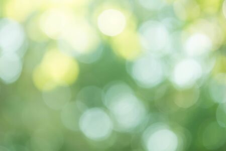 green bokeh backgroundの写真素材