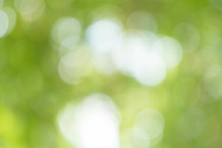 Abstract Green Bokeh Backgroundの写真素材