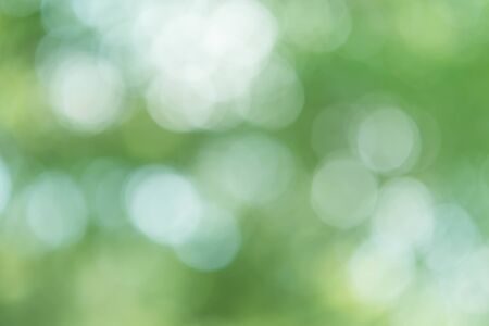 Abstract Green Bokeh Light Backgroundの写真素材
