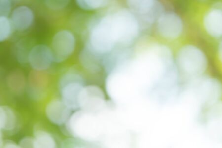 Abstract Green Bokeh Backgroundの写真素材