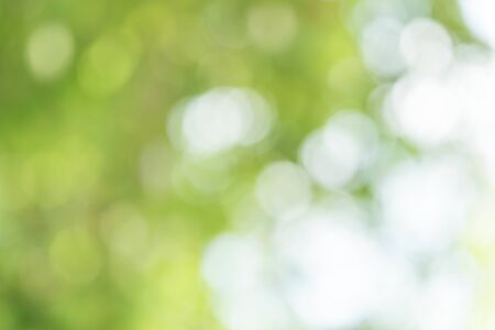 Abstract Green Bokeh Backgroundの写真素材