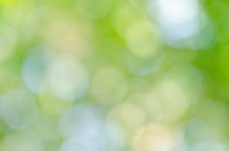 Abstract green bokeh background from trees in the parkの写真素材