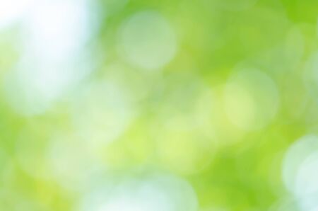 Green bokeh on nature defocus art abstract blur backgroundの写真素材