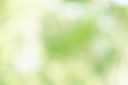 nature green bokeh sun light flare and blur leaf abstract texture backgroundの写真素材