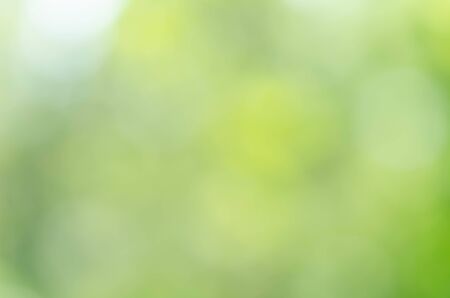 Abstract natural green bokeh backgroundの写真素材