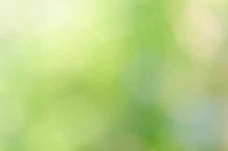 Green bokeh on nature defocus art abstract blur backgroundの写真素材