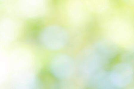 Abstract green bokeh background from trees in the parkの写真素材