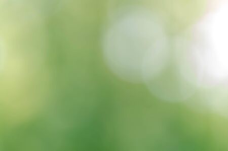 nature green bokeh sun light flare and blur leaf abstract texture backgroundの写真素材