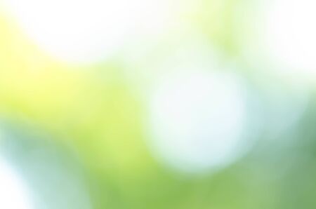Green bokeh on nature defocus art abstract blur backgroundの写真素材