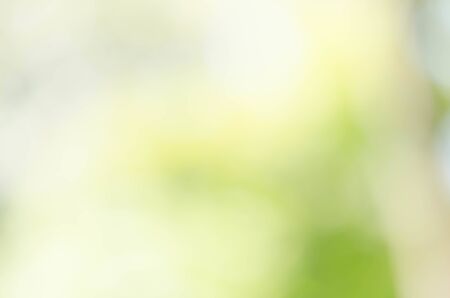 nature green bokeh sun light flare and blur leaf abstract texture backgroundの写真素材