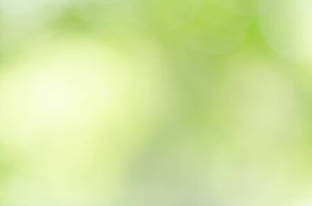 nature green bokeh sun light flare and blur leaf abstract texture backgroundの写真素材