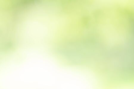 nature green bokeh sun light flare and blur leaf abstract texture backgroundの写真素材