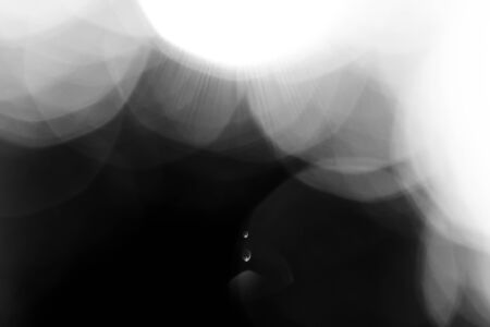 blurred bokeh lights on black loop backgroundの写真素材