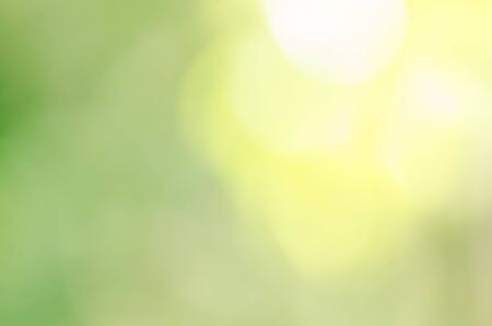 Abstract natural green bokeh backgroundの写真素材