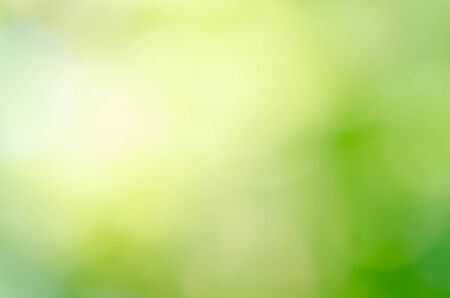 Abstract natural green bokeh backgroundの写真素材