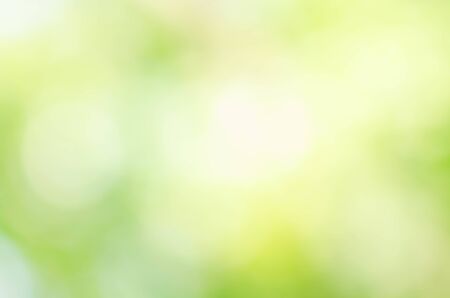 Abstract natural green bokeh backgroundの写真素材