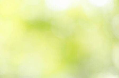nature green bokeh sun light flare and blur leaf abstract texture backgroundの写真素材