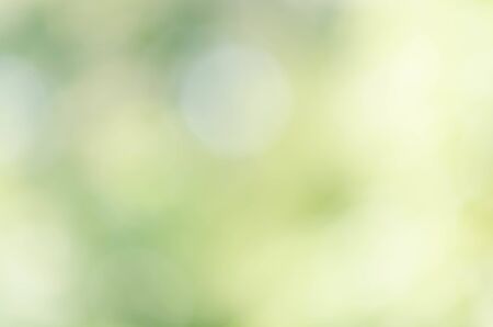 nature green bokeh sun light flare and blur leaf abstract texture backgroundの写真素材