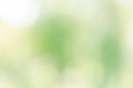 nature green bokeh sun light flare and blur leaf abstract texture backgroundの写真素材