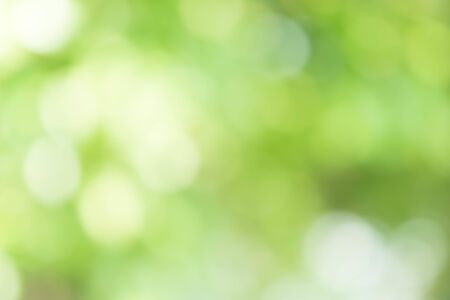 Abstract Green Bokeh Backgroundの写真素材