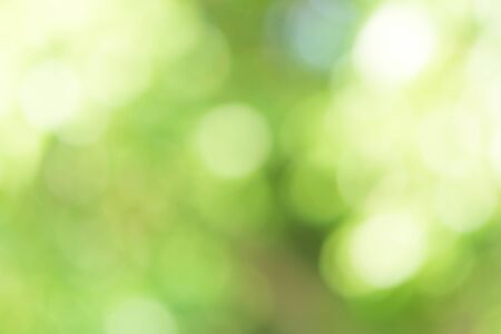 Abstract Green Bokeh Backgroundの写真素材