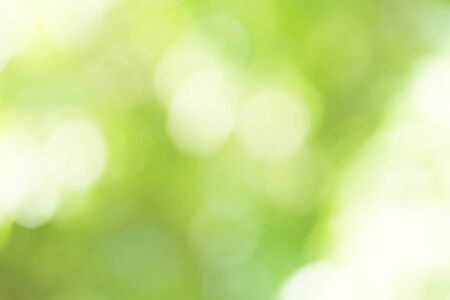Abstract Green Bokeh Backgroundの写真素材