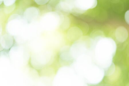 Abstract Green Bokeh Backgroundの写真素材