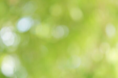 Abstract Green Bokeh Backgroundの写真素材