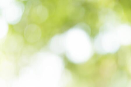 Abstract Green Bokeh Backgroundの写真素材
