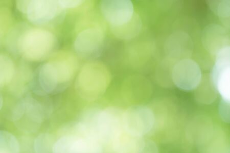 Abstract Green Bokeh Backgroundの写真素材