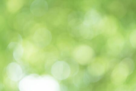 Abstract Green Bokeh Backgroundの写真素材