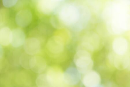 Abstract Green Bokeh Backgroundの写真素材