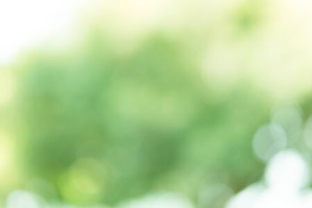 Abstract Green Bokeh Backgroundの写真素材