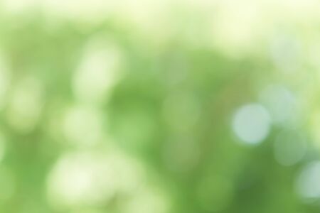 Abstract Green Bokeh Backgroundの写真素材
