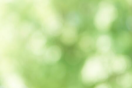 Abstract Green Bokeh Backgroundの写真素材