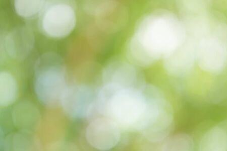 Green Bokeh Backgroundの写真素材