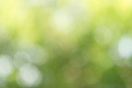 Green Bokeh Backgroundの写真素材