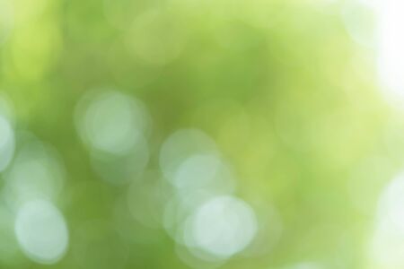 Green Bokeh Backgroundの写真素材