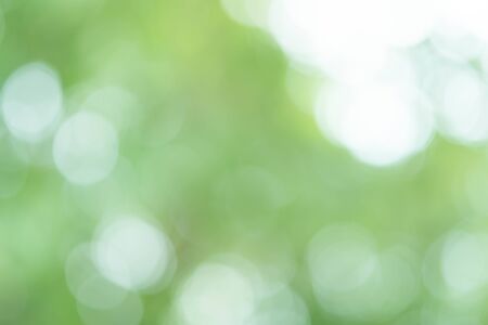 Green Bokeh Backgroundの写真素材