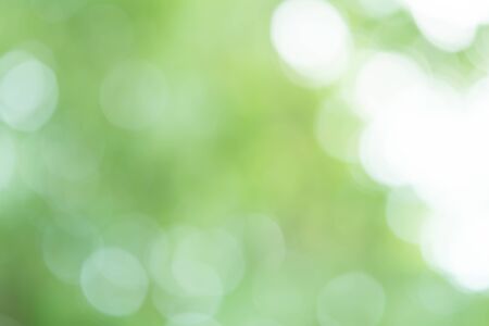 Green Bokeh Backgroundの写真素材