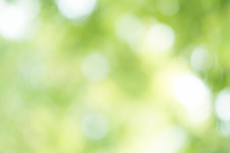 Green Bokeh Backgroundの写真素材