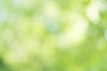 Green Bokeh Backgroundの写真素材