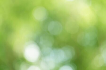 Green Bokeh Backgroundの写真素材