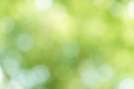 Green Bokeh Backgroundの写真素材