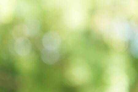 Green Bokeh Backgroundの写真素材