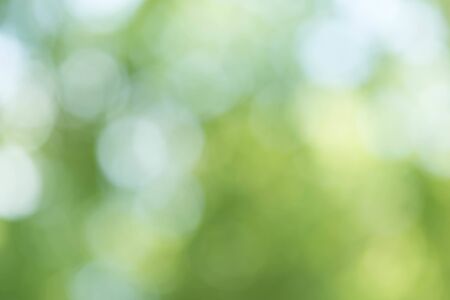 Green Bokeh Backgroundの写真素材