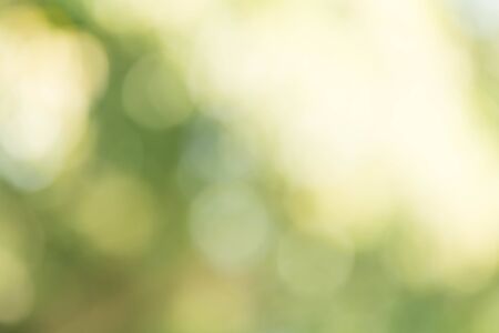 Green Bokeh Backgroundの写真素材